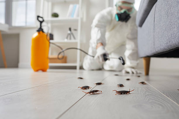 Post-Treatment Bed Bug Interceptor Monitoring in Leisuretowne