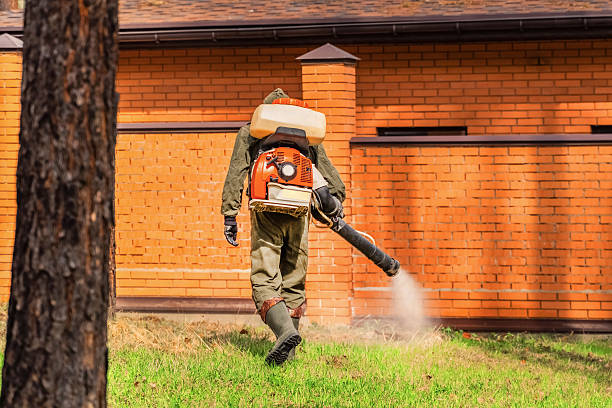Bed Bug Clearance Verification and Documentation in Leisuretowne